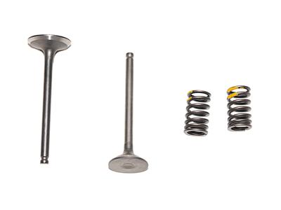 VALVULAS ADM/ESC+2 RESORTES CRIPTON 110